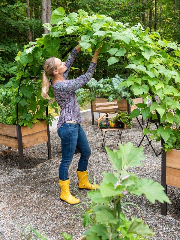 ARCH TRELLIS FOR 2’X8′ PLANTER BOX