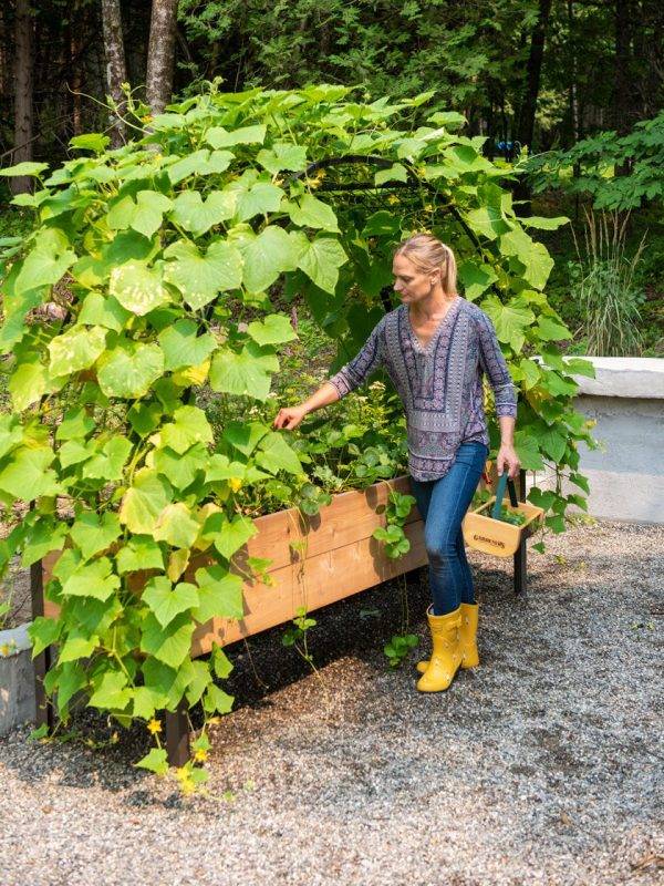 ARCH TRELLIS FOR 2’X8′ PLANTER BOX