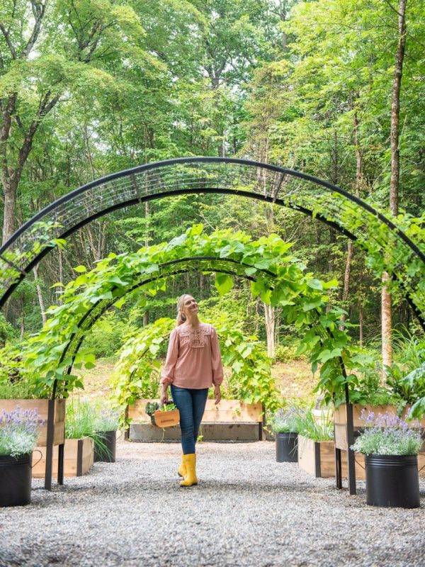 ARCH TRELLIS FOR 2’X8′ PLANTER BOX