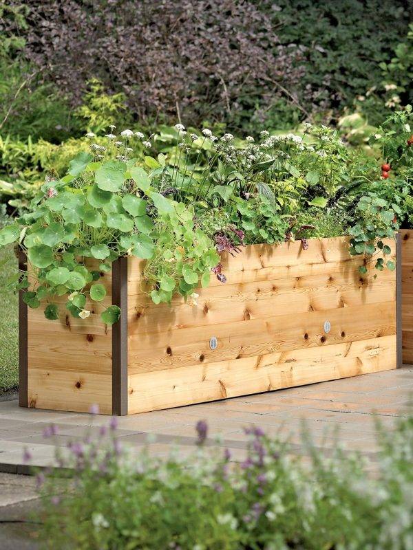 🎉Last 30sets Self-Watering Eco-Stained Elevated Planter Box🎉