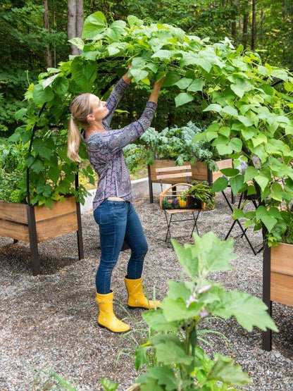 ARCH TRELLIS FOR 2’X8′ PLANTER BOX
