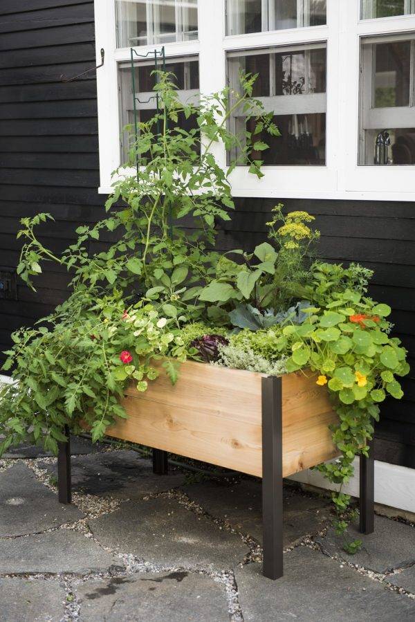 🎉Last 30sets Self-Watering Eco-Stained Elevated Planter Box🎉