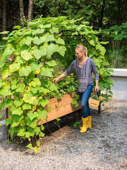 ARCH TRELLIS FOR 2’X8′ PLANTER BOX