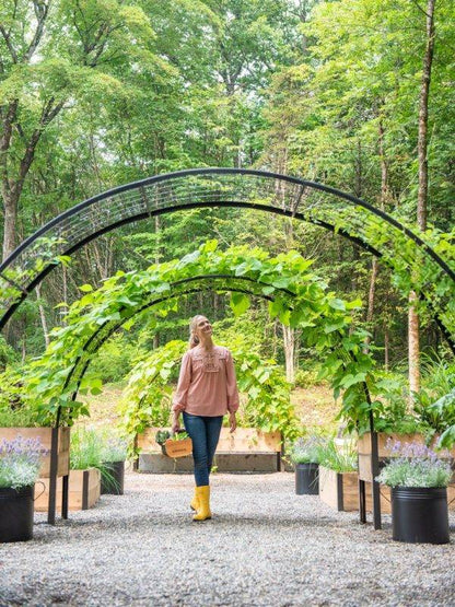 ARCH TRELLIS FOR 2’X8′ PLANTER BOX