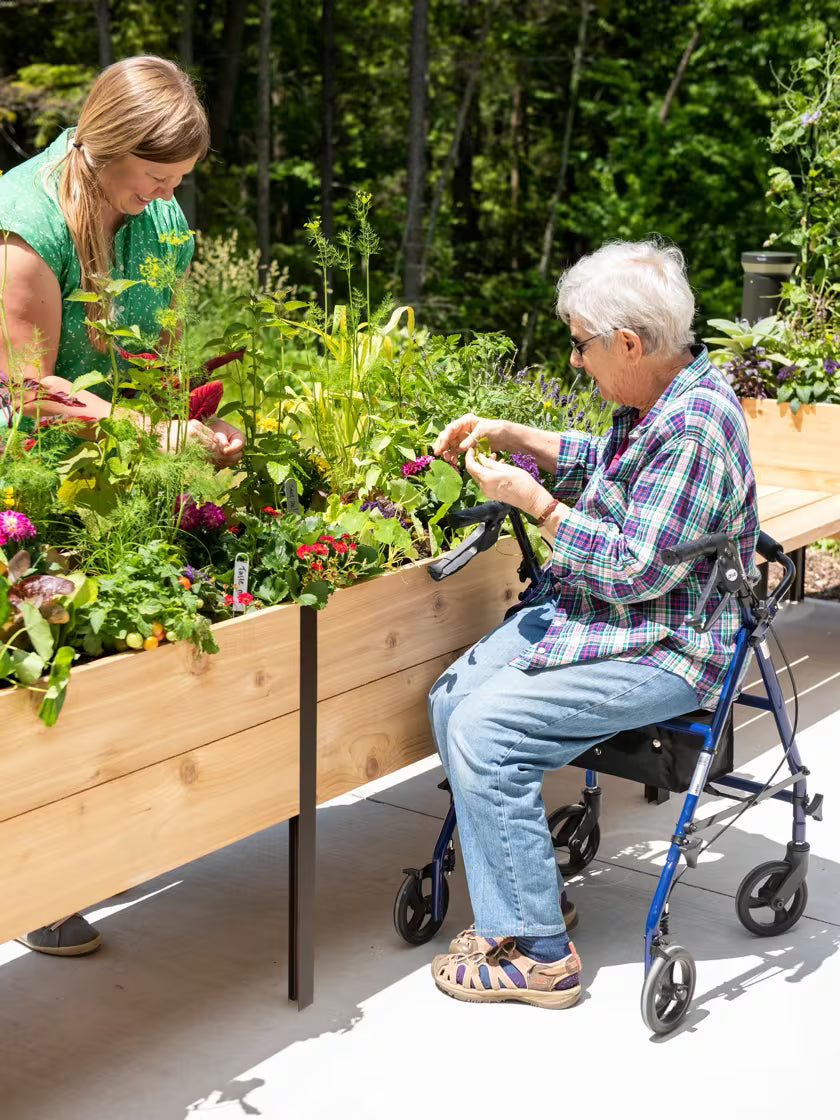 🎉Last 30sets Self-Watering Eco-Stained Elevated Planter Box🎉