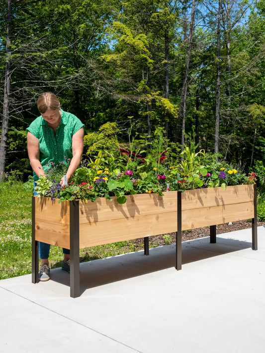 🎉Last 30sets Self-Watering Eco-Stained Elevated Planter Box🎉