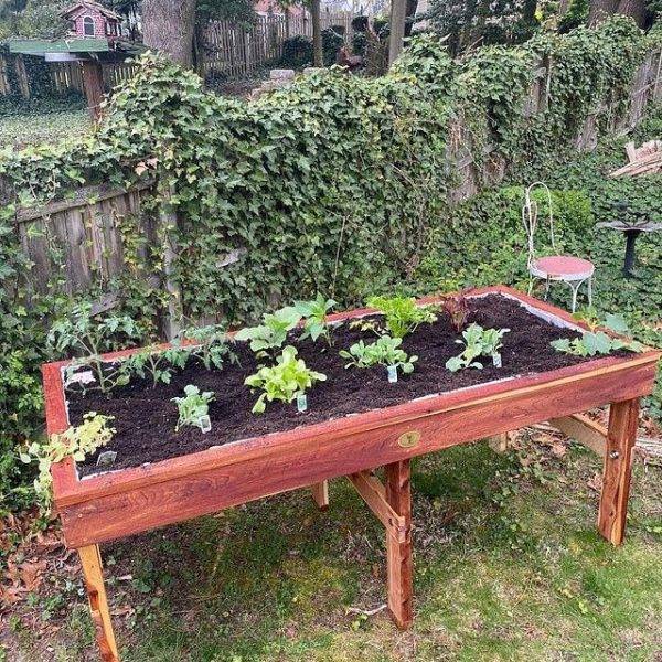 Large Raised Bed Planter – Planter – Gardening – Gardeners – Plants – Vegetables – Flowers – Kitchen Garden