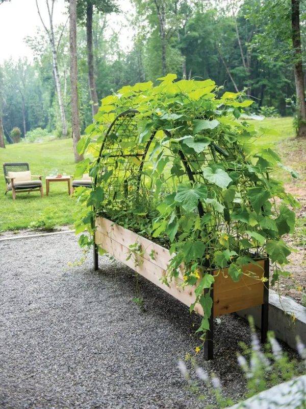 ARCH TRELLIS FOR 2’X8′ PLANTER BOX