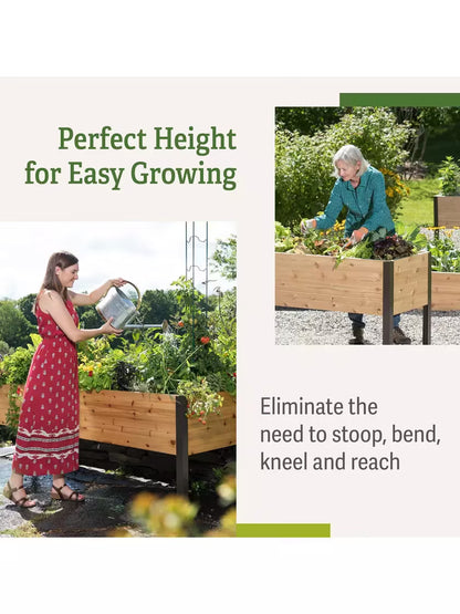 🎉Last 30sets Self-Watering Eco-Stained Elevated Planter Box🎉