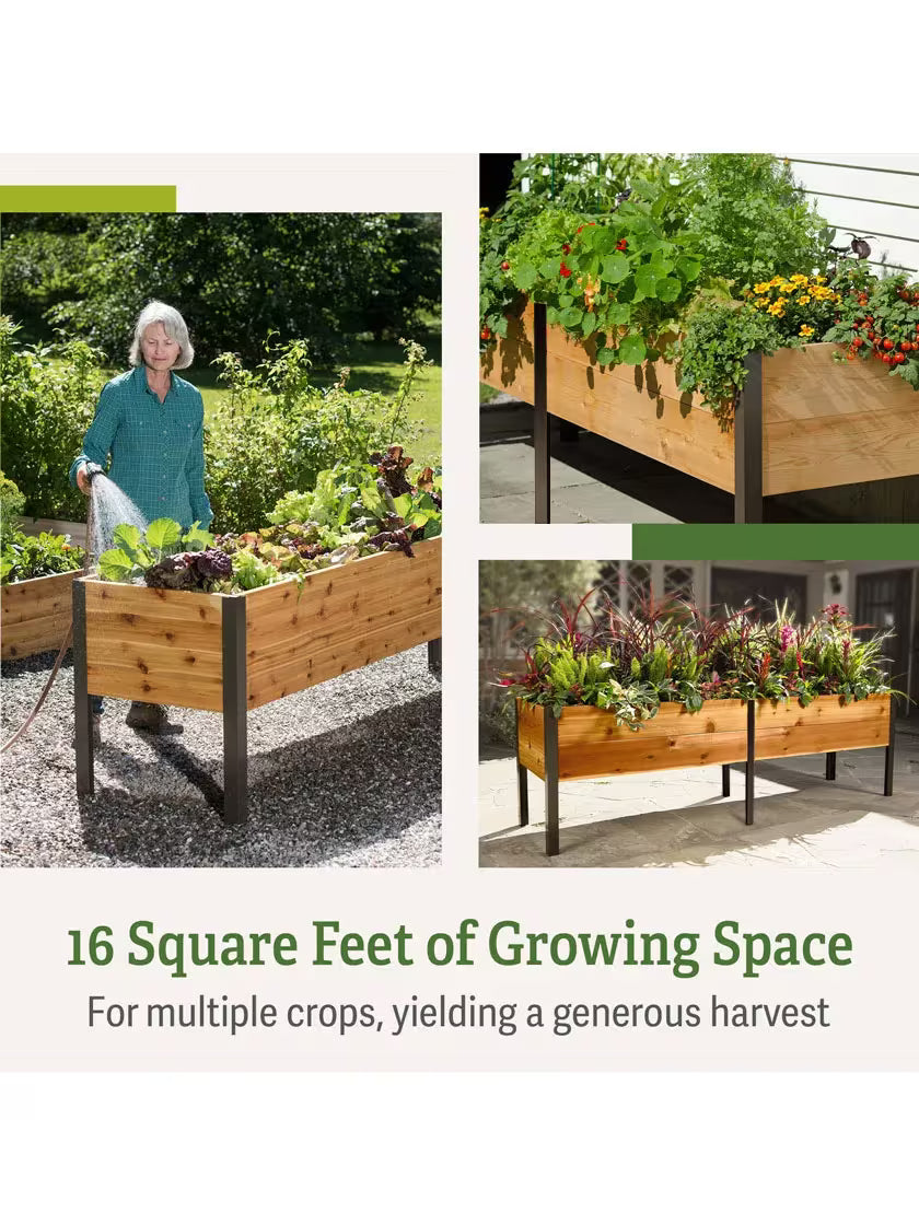 🎉Last 30sets Self-Watering Eco-Stained Elevated Planter Box🎉