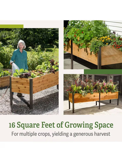 🎉Last 30sets Self-Watering Eco-Stained Elevated Planter Box🎉
